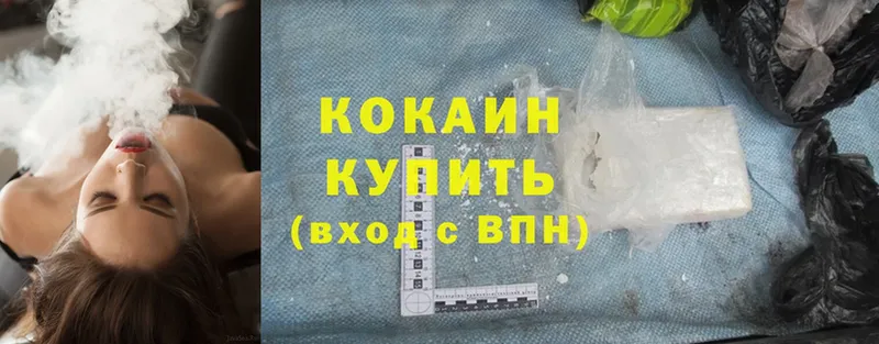 Cocaine Fish Scale  Нестеровская 