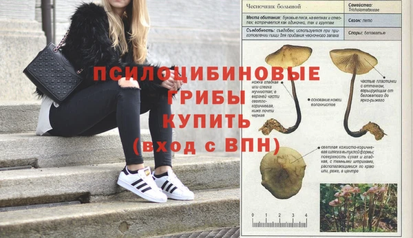 мдпв Мегион