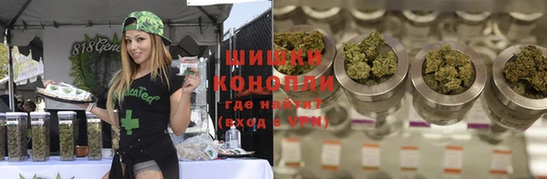 мдпв Мегион