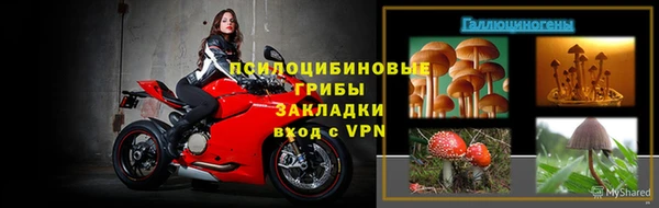 PSILOCYBIN Медвежьегорск
