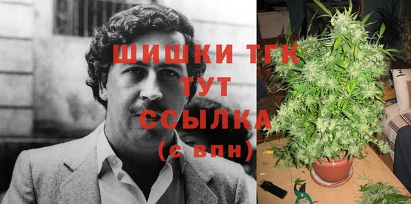 мдпв Мегион