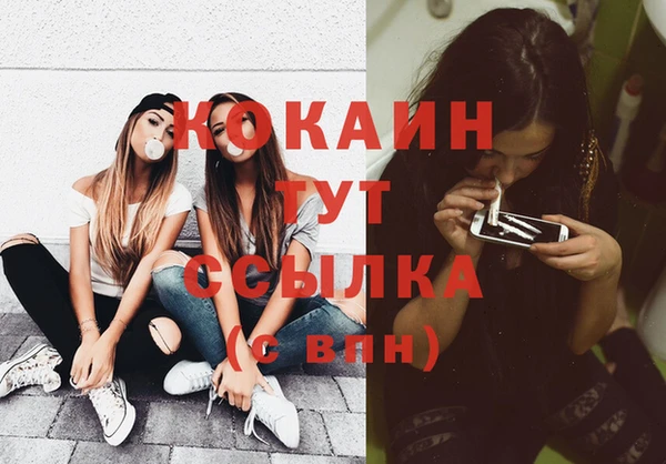 PSILOCYBIN Медвежьегорск