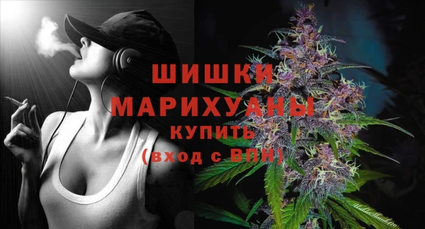 PSILOCYBIN Медвежьегорск
