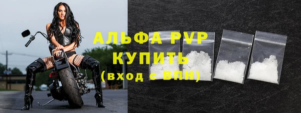 PSILOCYBIN Медвежьегорск