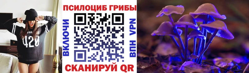 Псилоцибиновые грибы Magic Shrooms  Нестеровская 